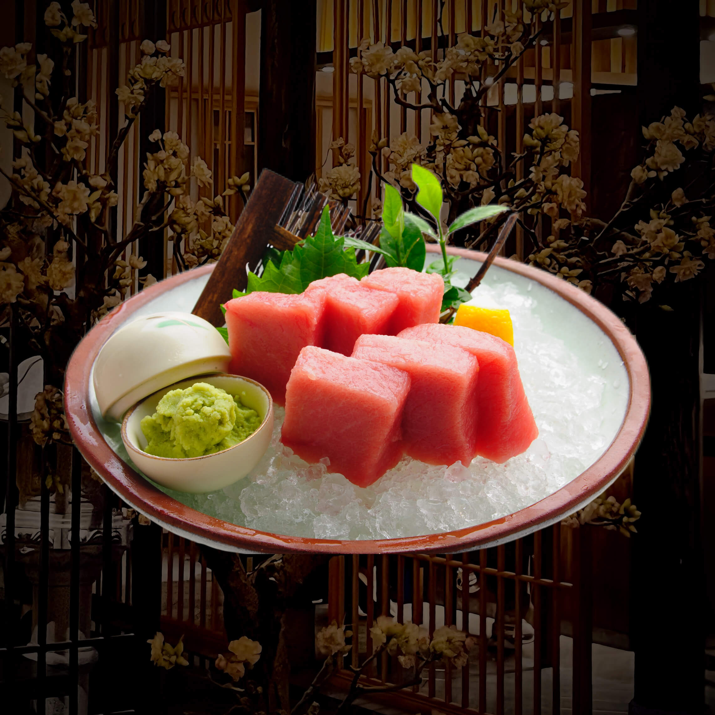 黑鲔鱼鱼背