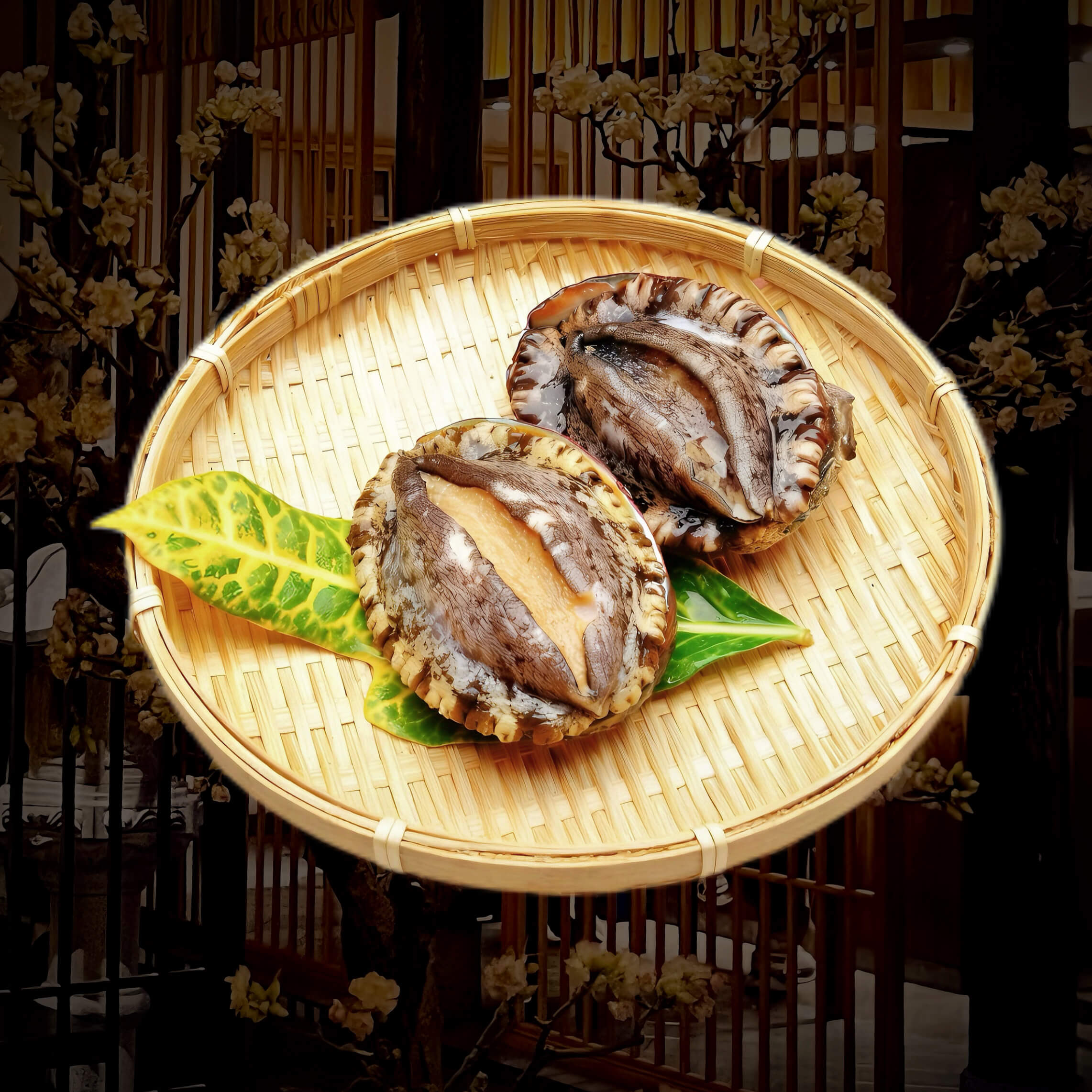 活鲍鱼（个）